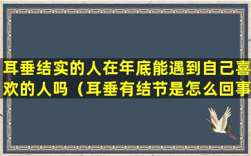 耳垂结实的人在年底能遇到自己喜欢的人吗（耳垂有结节是怎么回事）