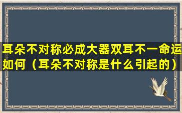 耳朵不对称必成大器双耳不一命运如何（耳朵不对称是什么引起的）