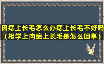 肉痣上长毛怎么办痣上长毛不好吗（相学上肉痣上长毛是怎么回事）