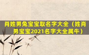 肖姓男兔宝宝取名字大全（姓肖男宝宝2021名字大全属牛）