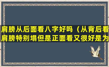 肩膀从后面看八字好吗（从背后看肩膀特别塌但是正面看又很好是为什么）