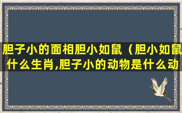 胆子小的面相胆小如鼠（胆小如鼠什么生肖,胆子小的动物是什么动物）