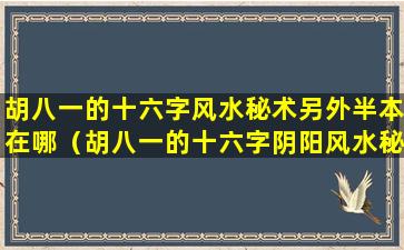 胡八一的十六字风水秘术另外半本在哪（胡八一的十六字阴阳风水秘术为什么只有半本）