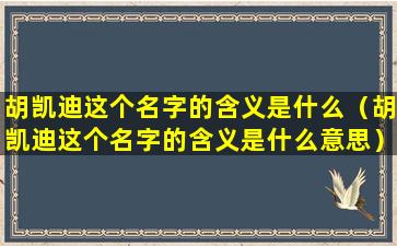 胡凯迪这个名字的含义是什么（胡凯迪这个名字的含义是什么意思）