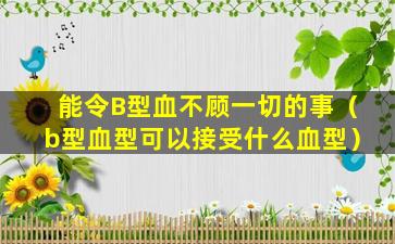 能令B型血不顾一切的事（b型血型可以接受什么血型）