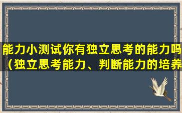 能力小测试你有独立思考的能力吗（独立思考能力、判断能力的培养路径及对你的未来的影响）