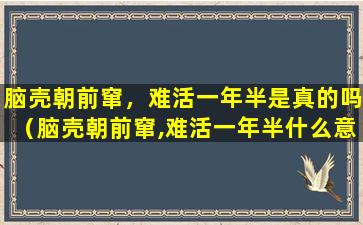 脑壳朝前窜，难活一年半是真的吗（脑壳朝前窜,难活一年半什么意思）