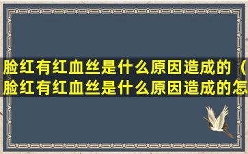 脸红有红血丝是什么原因造成的（脸红有红血丝是什么原因造成的怎么解决）