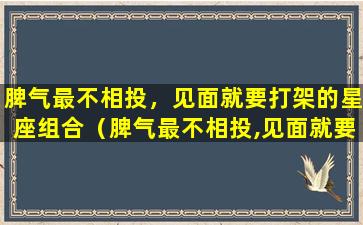 脾气最不相投，见面就要打架的星座组合（脾气最不相投,见面就要打架的星座组合）