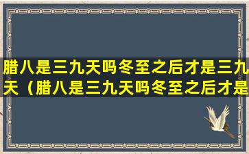 腊八是三九天吗冬至之后才是三九天（腊八是三九天吗冬至之后才是三九天对吗）