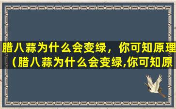 腊八蒜为什么会变绿，你可知原理（腊八蒜为什么会变绿,你可知原理）