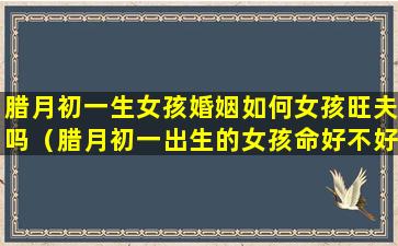 腊月初一生女孩婚姻如何女孩旺夫吗（腊月初一出生的女孩命好不好）