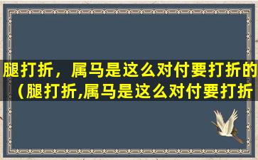 腿打折，属马是这么对付要打折的（腿打折,属马是这么对付要打折的）