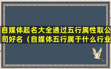 自媒体起名大全通过五行属性取公司好名（自媒体五行属于什么行业）