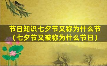 节日知识七夕节又称为什么节（七夕节又被称为什么节日）