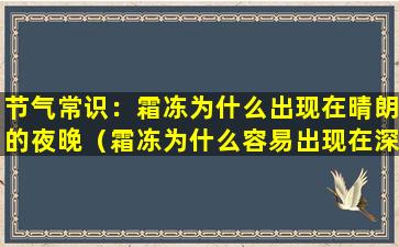 节气常识：霜冻为什么出现在晴朗的夜晚（霜冻为什么容易出现在深秋或早春晴朗的夜晚）