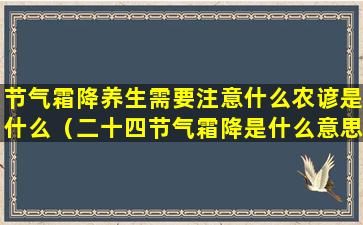 节气霜降养生需要注意什么农谚是什么（二十四节气霜降是什么意思）