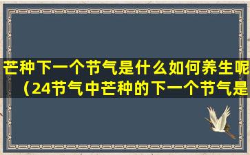 芒种下一个节气是什么如何养生呢（24节气中芒种的下一个节气是什么）