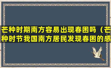 芒种时期南方容易出现春困吗（芒种时节我国南方居民发现春困的感觉有所加剧）