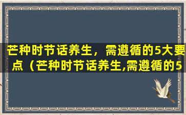 芒种时节话养生，需遵循的5大要点（芒种时节话养生,需遵循的5大要点）