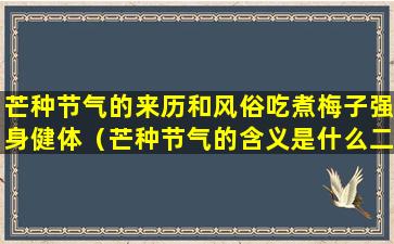 芒种节气的来历和风俗吃煮梅子强身健体（芒种节气的含义是什么二十四节气）