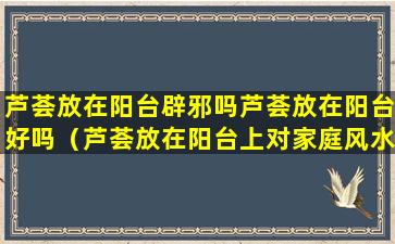 芦荟放在阳台辟邪吗芦荟放在阳台好吗（芦荟放在阳台上对家庭风水有影响吗）