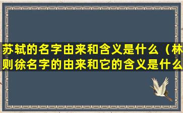 苏轼的名字由来和含义是什么（林则徐名字的由来和它的含义是什么）