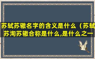 苏轼苏辙名字的含义是什么（苏轼苏洵苏辙合称是什么,是什么之一）