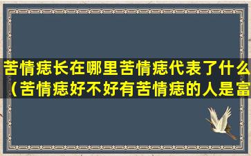 苦情痣长在哪里苦情痣代表了什么（苦情痣好不好有苦情痣的人是富贵命）