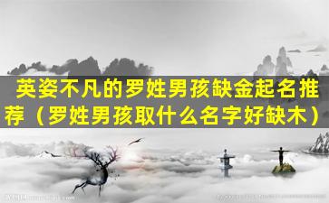 英姿不凡的罗姓男孩缺金起名推荐（罗姓男孩取什么名字好缺木）