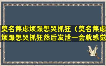 莫名焦虑烦躁想哭抓狂（莫名焦虑烦躁想哭抓狂然后发泄一会就感觉好很多了）