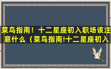 菜鸟指南！十二星座初入职场该注意什么（菜鸟指南!十二星座初入职场该注意什么）