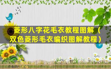 菱形八字花毛衣教程图解（双色菱形毛衣编织图解教程）