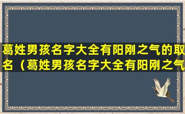 葛姓男孩名字大全有阳刚之气的取名（葛姓男孩名字大全有阳刚之气的取名叫什么）