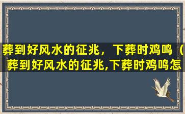 葬到好风水的征兆，下葬时鸡鸣（葬到好风水的征兆,下葬时鸡鸣怎么办）