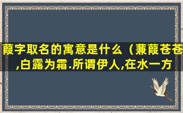 葭字取名的寓意是什么（蒹葭苍苍,白露为霜.所谓伊人,在水一方.是什么意思）