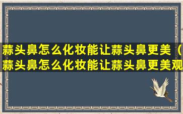 蒜头鼻怎么化妆能让蒜头鼻更美（蒜头鼻怎么化妆能让蒜头鼻更美观一点）