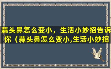 蒜头鼻怎么变小，生活小妙招告诉你（蒜头鼻怎么变小,生活小妙招告诉你）