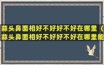 蒜头鼻面相好不好好不好在哪里（蒜头鼻面相好不好好不好在哪里能看出来）