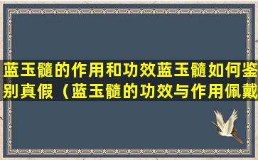 蓝玉髓的作用和功效蓝玉髓如何鉴别真假（蓝玉髓的功效与作用佩戴禁忌）