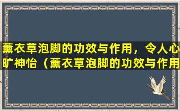 薰衣草泡脚的功效与作用，令人心旷神怡（薰衣草泡脚的功效与作用,令人心旷神怡）