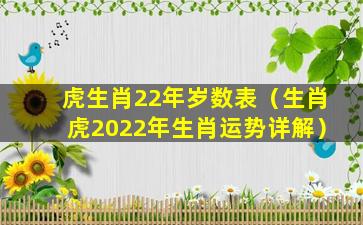 虎生肖22年岁数表（生肖虎2022年生肖运势详解）