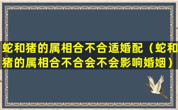 蛇和猪的属相合不合适婚配（蛇和猪的属相合不合会不会影响婚姻）