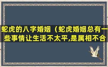 蛇虎的八字婚姻（蛇虎婚姻总有一些事情让生活不太平,是属相不合问题吗）