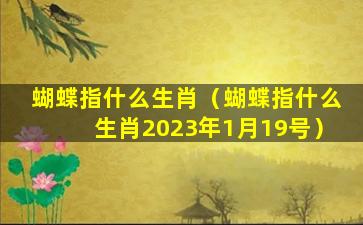 蝴蝶指什么生肖（蝴蝶指什么生肖2023年1月19号）