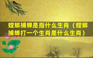 螳螂捕蝉是指什么生肖（螳螂捕蝉打一个生肖是什么生肖）