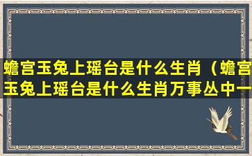 蟾宫玉兔上瑶台是什么生肖（蟾宫玉兔上瑶台是什么生肖万事丛中一点红）