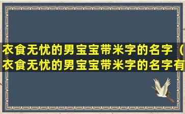 衣食无忧的男宝宝带米字的名字（衣食无忧的男宝宝带米字的名字有哪些）