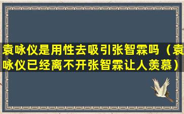 袁咏仪是用性去吸引张智霖吗（袁咏仪已经离不开张智霖让人羡慕）