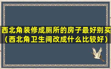 西北角装修成厕所的房子最好别买（西北角卫生间改成什么比较好）